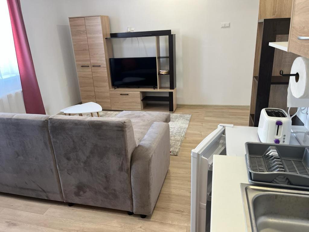 Sfântu-Gheorghe Sabina Apartaments מראה חיצוני תמונה