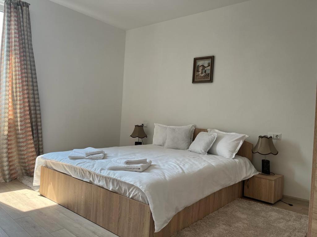 Sfântu-Gheorghe Sabina Apartaments מראה חיצוני תמונה