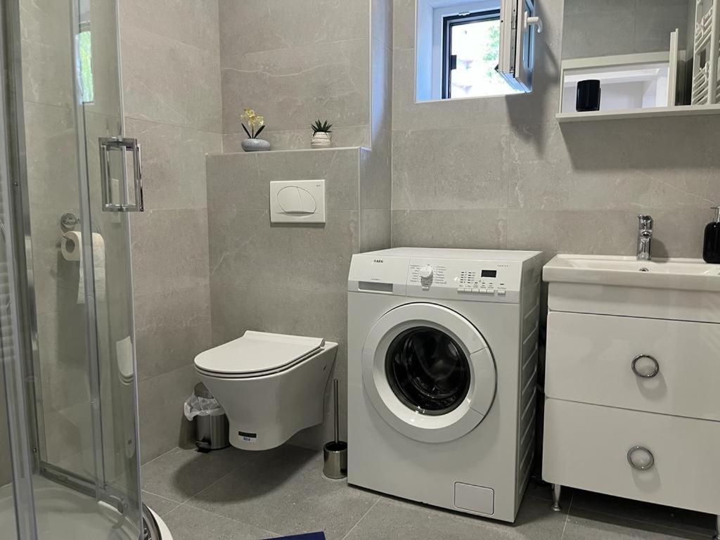 Sfântu-Gheorghe Sabina Apartaments מראה חיצוני תמונה