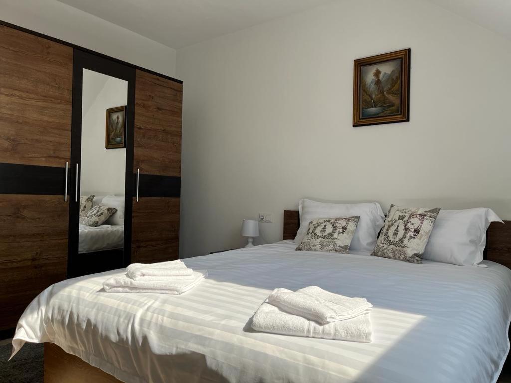 Sfântu-Gheorghe Sabina Apartaments מראה חיצוני תמונה
